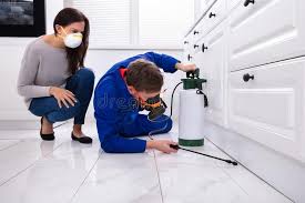 Best Pest Exclusion Services  in Jerome, IL